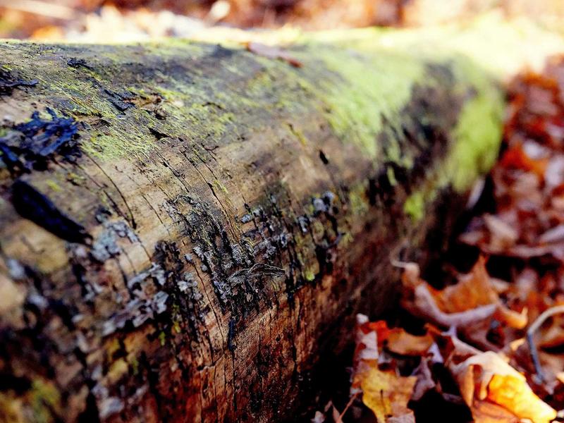 samurai sudoku screenshot 5